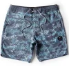 Fashion Vissla Botanica 18.5" Boardshort Graphite